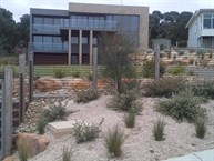 Anglesea Coastal Garden Indigenous Plants