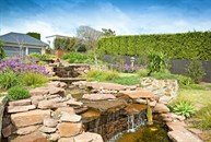 View of Waterfeature & Garden