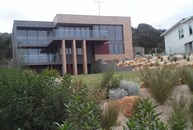 View of coastal garden and driveway plantings