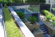 View of steps and planter boxes