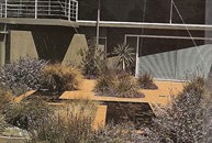 View of Garden & Waterfeature