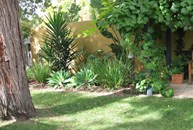 View of pergola and garden wall