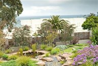 View of Waterfeature & Garden