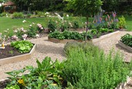 View of Vegetable / Herb Garden