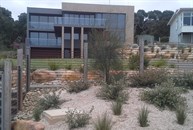 View of coastal garden and driveway plantings