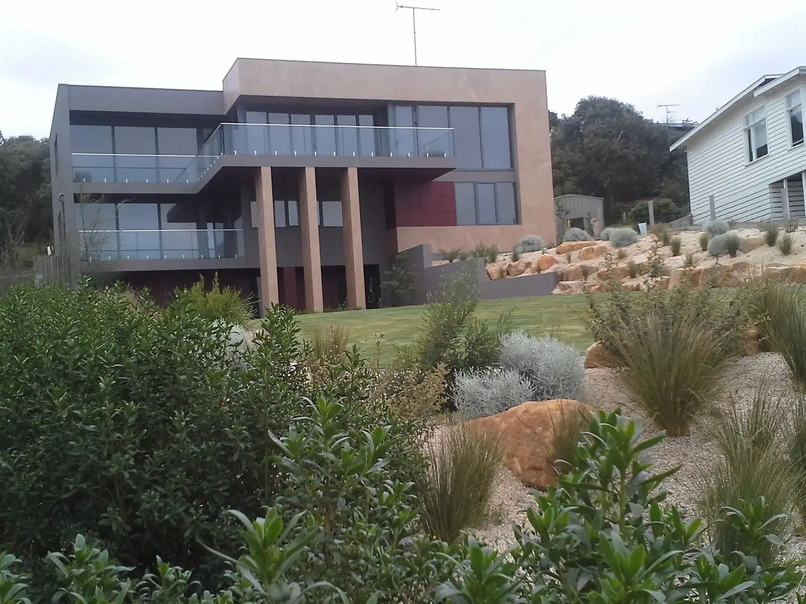 View of coastal garden and driveway plantings