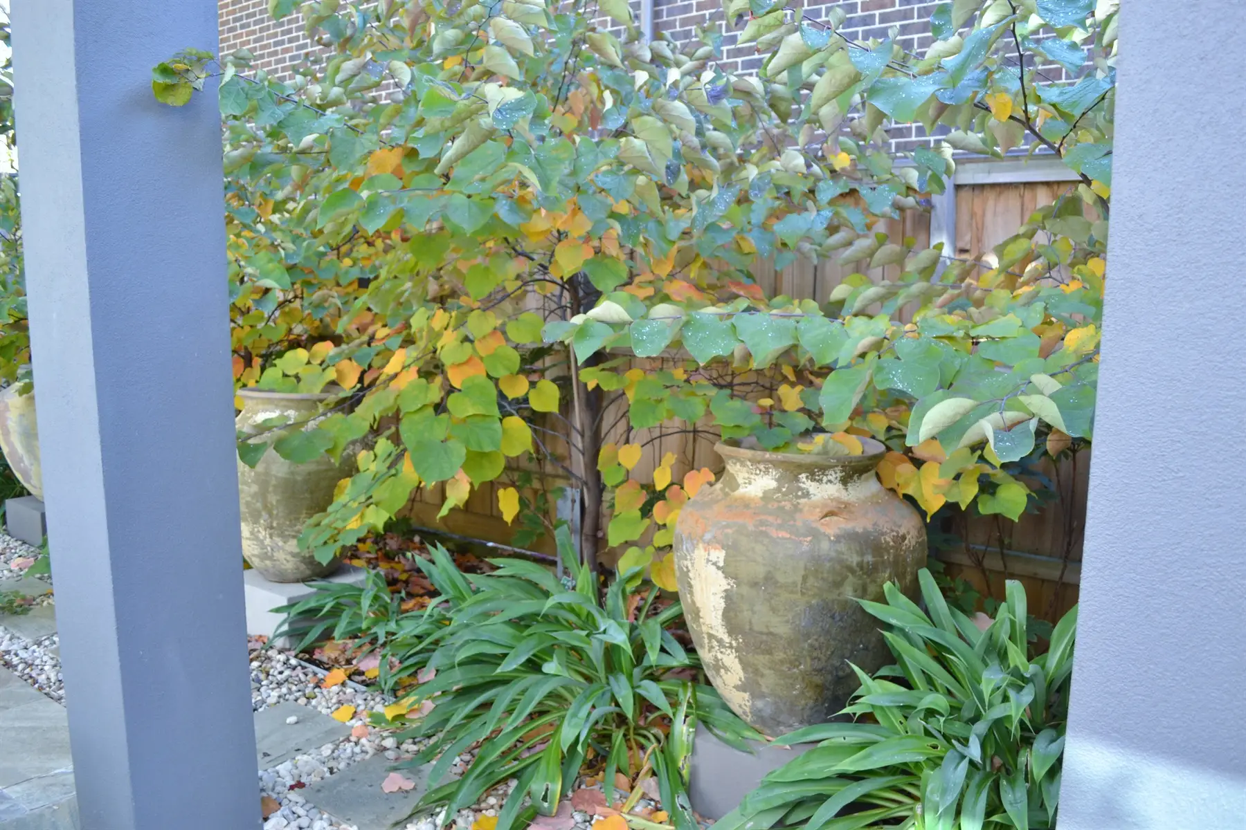 Plunge Pool with Bluestone paving
